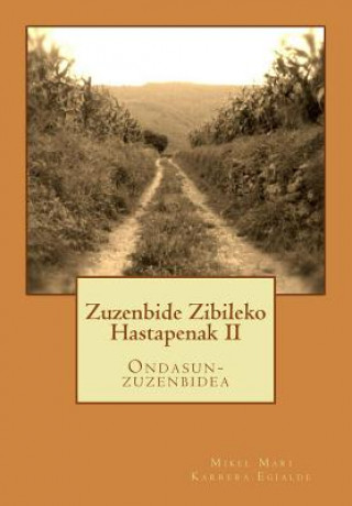 Book Zuzenbide Zibileko Hastapenak II: Ondasun-zuzenbidea D Mikel Mari Karrera Egialde