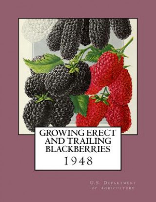 Kniha Growing Erect and Trailing Blackberries U S Department of Agriculture