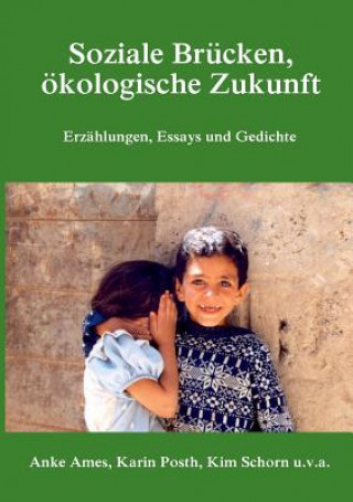 Könyv Soziale Brucken, oekologische Zukunft Anke Ames