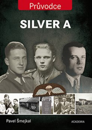 Kniha Silver A Pavel Šmejkal