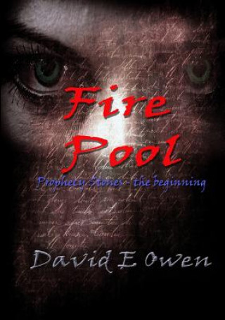 Knjiga Fire Pool Lord David (University of Southampton) Owen