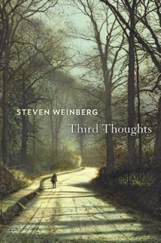 Livre Third Thoughts Steven Weinberg