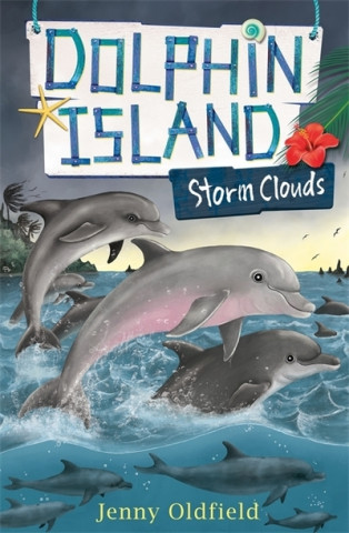 Carte Dolphin Island: Storm Clouds Jenny Oldfield