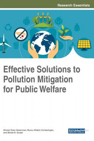 Buch Effective Solutions to Pollution Mitigation for Public Welfare Burcu Didem Corbacioglu