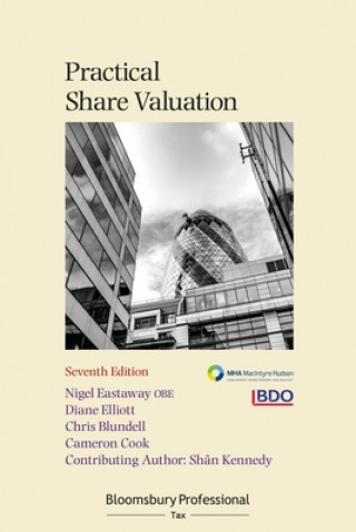 Książka Practical Share Valuation Nigel Eastaway