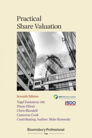 Knjiga Practical Share Valuation Nigel Eastaway
