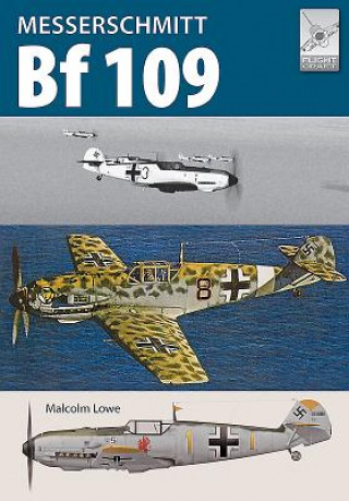 Carte Flight Craft 14: Messerschmitt Bf109 Robert Jackson