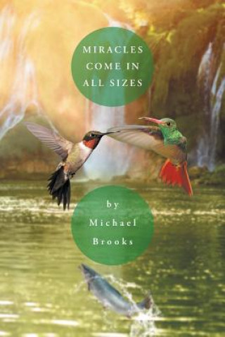 Carte Miracles Come in All Sizes Michael Brooks