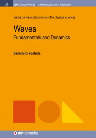 Buch Waves Sanichiro Yoshida