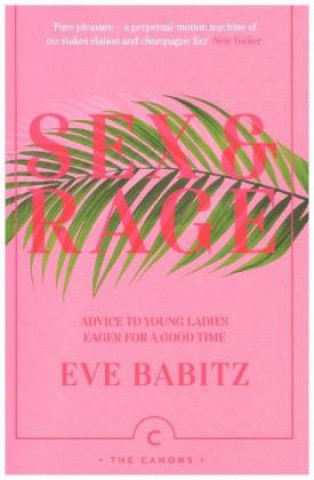 Kniha Sex & Rage Eve Babitz