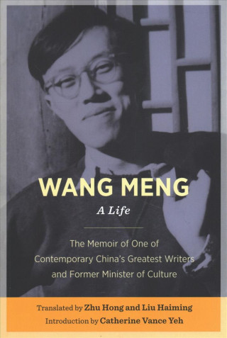 Boek Wang Meng Liu Haiming