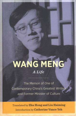 Boek Wang Meng Liu Haiming