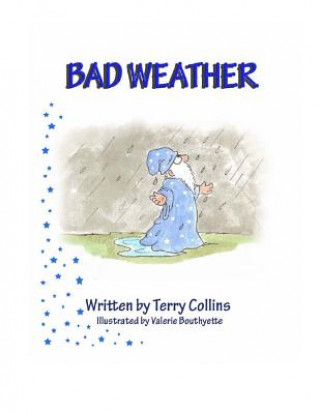 Kniha Bad Weather Terry Collins