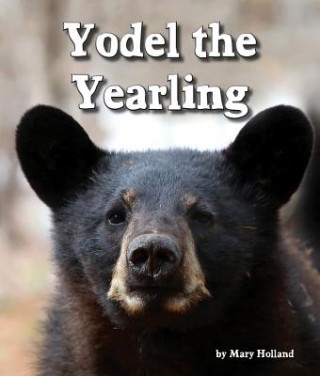 Buch Yodel the Yearling Mary Holland