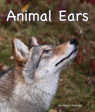 Buch Animal Ears Mary Holland