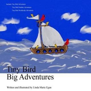Knjiga Tiny Bird Big Adventures Linda Marie Egan