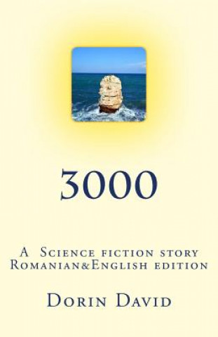 Buch 3000 Dorin David