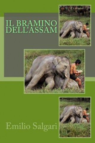 Kniha Il Bramino dell'Assam Emilio Salgari