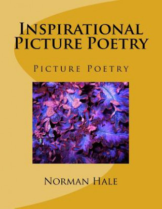 Kniha Inspirational Picture Poetry: Picture Poetry Mr Norman Hale