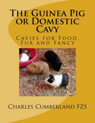 Carte The Guinea Pig or Domestic Cavy: Cavies for Food, Fur and Fancy Charles Cumberland Fzs