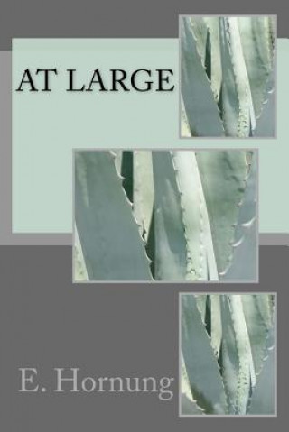 Buch At Large E W Hornung
