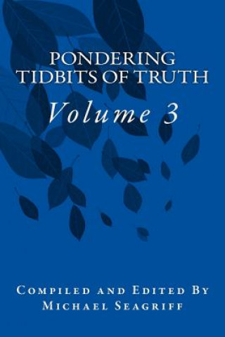 Carte Pondering Tidbits of Truth (Volume 3) Michael Seagriff