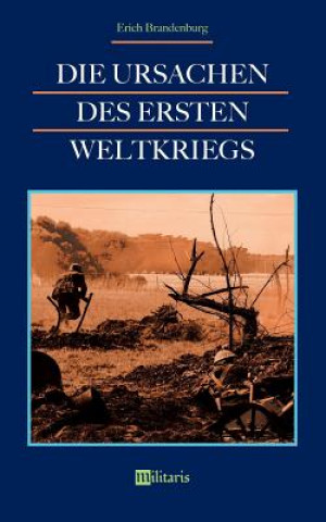 Könyv Ursachen des Ersten Weltkriegs Erich Brandenburg