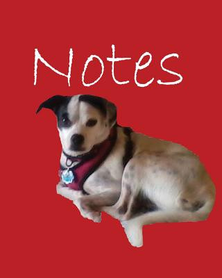 Knjiga Notes Volume 4 Rita Ferdinando