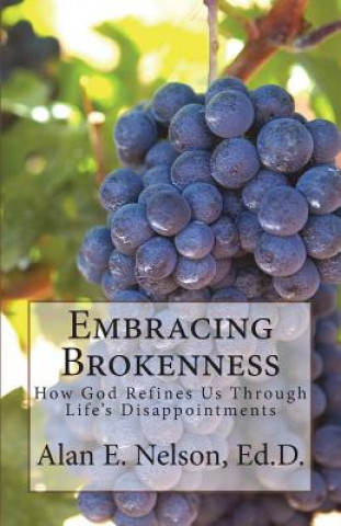 Book Embracing Brokenness Alan E Nelson