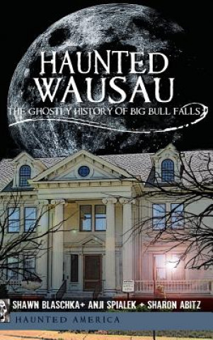 Livre Haunted Wausau: The Ghostly History of Big Bull Falls Shawn Blaschka