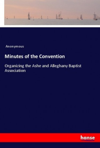 Knjiga Minutes of the Convention Anonym