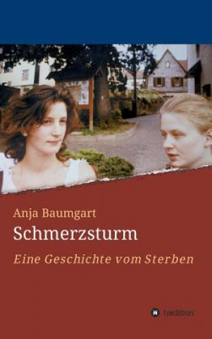 Boek Schmerzsturm Anja Baumgart
