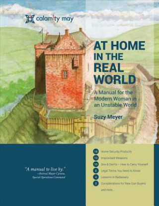 Kniha At Home in the Real World: A Manual for the Modern Woman in an Unstable World Suzy Meyer