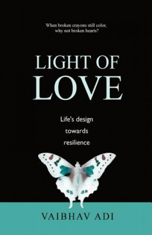 Kniha Light of Love Vaibhav Adi