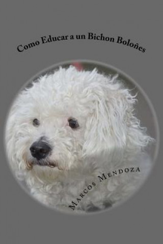 Książka Como Educar a un Bichon Bolones Marcos Mendoza