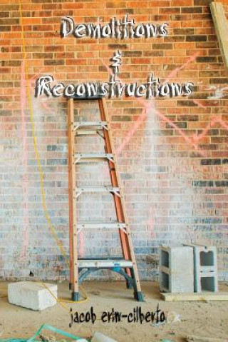 Boek Demolitions and Reconstructions: metaphorical, abstract poetry jacob erin-cilberto
