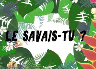 Knjiga Le savais-tu? Célia Braud