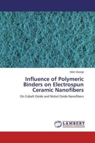Könyv Influence of Polymeric Binders on Electrospun Ceramic Nanofibers Gibin George
