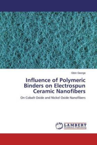 Książka Influence of Polymeric Binders on Electrospun Ceramic Nanofibers Gibin George