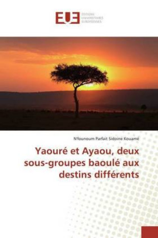 Könyv Yaouré et Ayaou, deux sous-groupes baoulé aux destins différents N'founoum Parfait Sidoine Kouamé