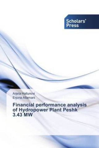 Könyv Financial performance analysis of Hydropower Plant Peshk 3.43 MW Arjeta Hallunovi
