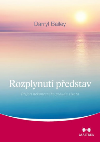 Kniha Rozplynutí představ Darryl Bailey