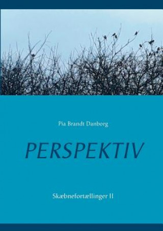 Buch Perspektiv Pia Brandt Danborg
