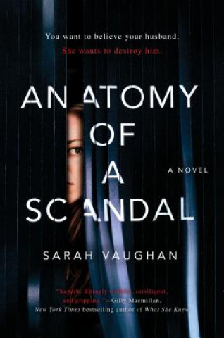 Kniha Anatomy of a Scandal Sarah Vaughan