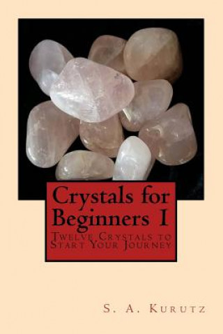 Kniha Crystals for Beginners 1 S A Kurutz