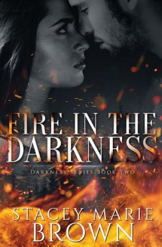 Knjiga Fire in the Darkness Stacey Marie Brown