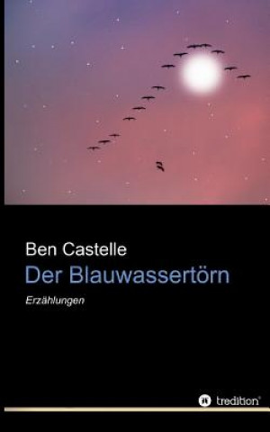 Kniha Der Blauwassertörn Ben Castelle