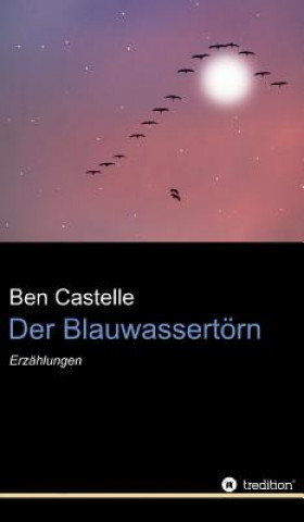 Książka Der Blauwassertörn Ben Castelle