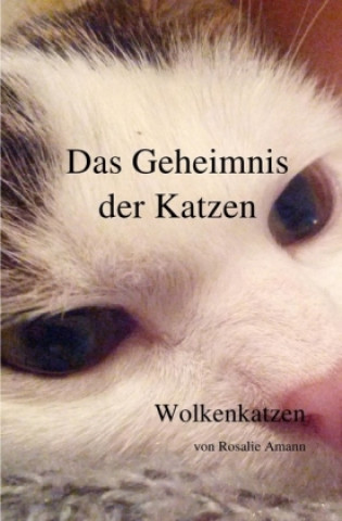Kniha Das Geheimnis der Katzen / Das Geheimnis der Katzen - Wolkenkatzen Rosalie Amann