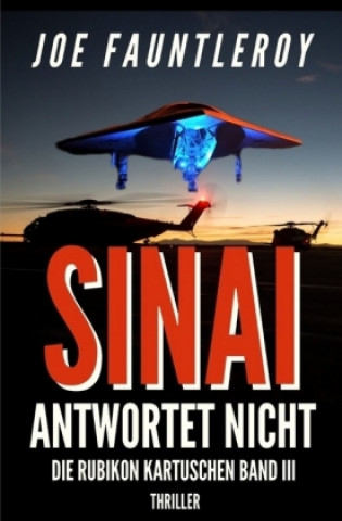 Knjiga Sinai antwortet nicht Joe Fauntleroy